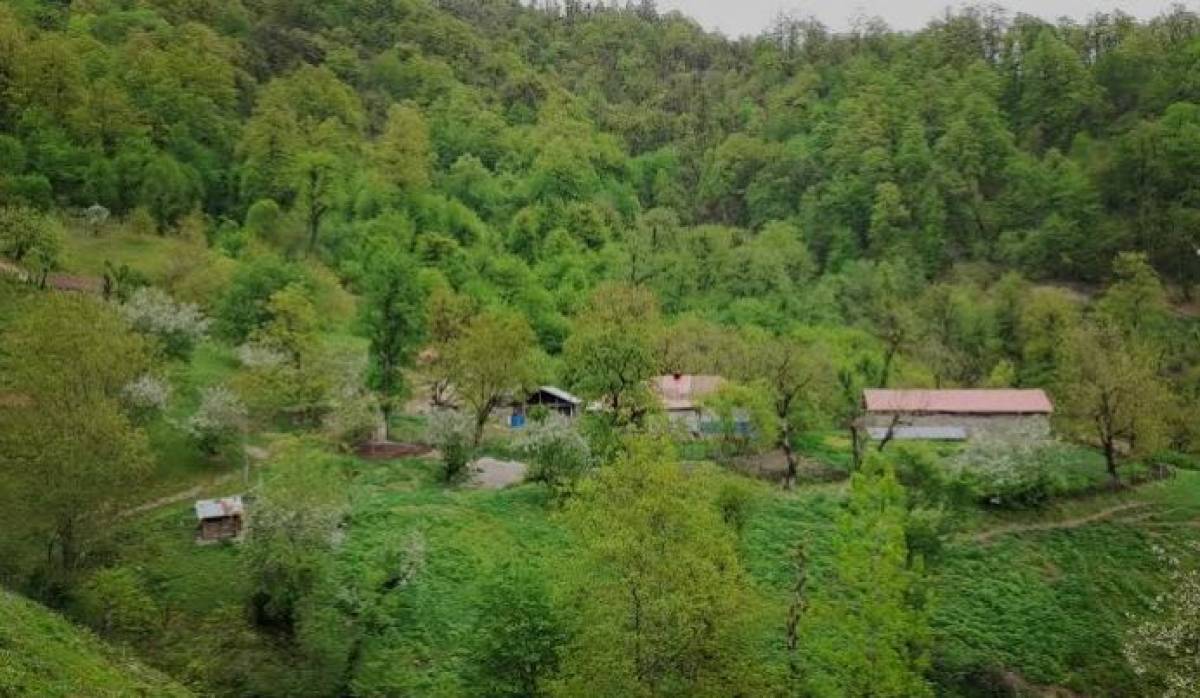 🏡 خرید ملک در روستای وزمی رضوانشهر | بهترین فرصت سرمایه‌گذاری در شمال گیلان