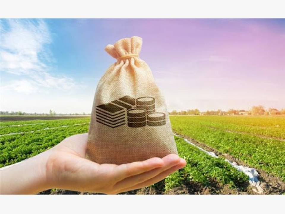 خرید زمین برای سرمایه گذاری در شمال