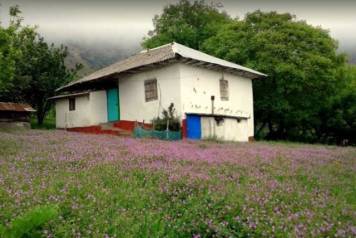 روستای ویشه سرا رضوانشهر