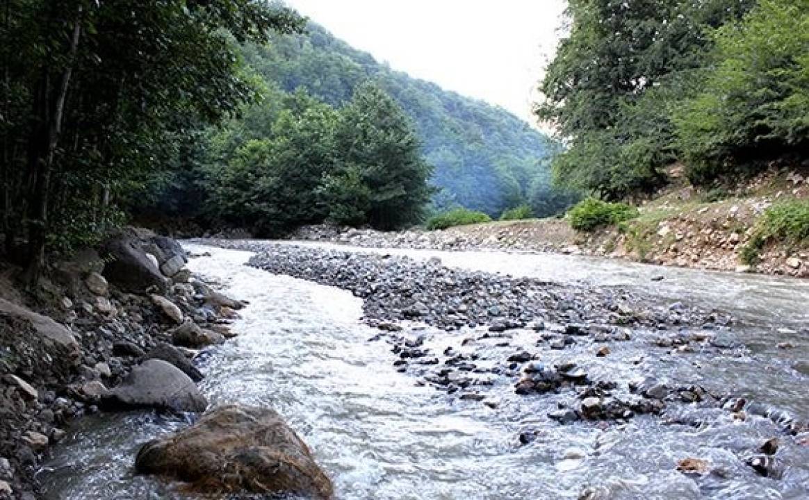 🌿 خرید زمین در روستای شفارود رضوانشهر | فرصت سرمایه‌گذاری، خرید ویلا و باغ در شمال