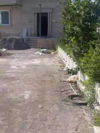انتخاب‌های اقتصادی در رضوانشهر