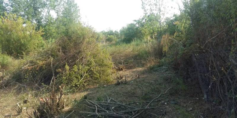                                             زمین
                                                                                زمین و باغ
                                        در  رضوان شهر