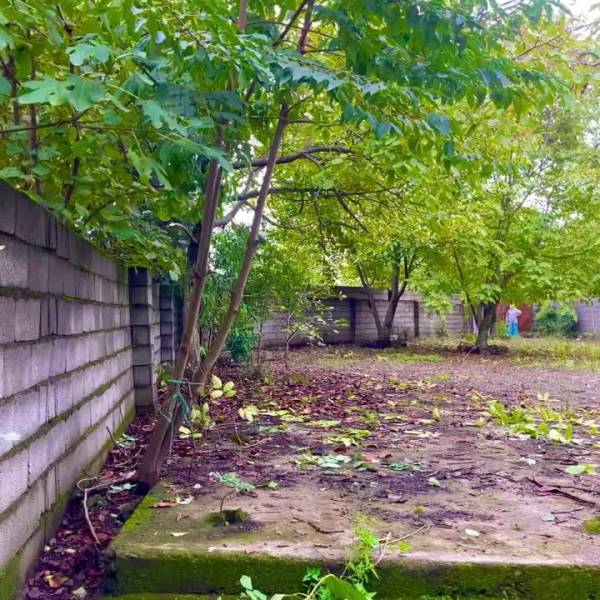                                             زمین مسکونی
                                                                                زمین و باغ
                                        در  رضوان شهر