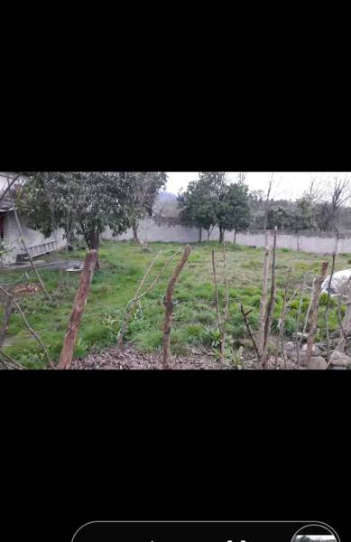                                             ۲۵۰ متر زمین مسکونی،کنار رودخانه و جنگل
                                                                                زمین و باغ
                                        در  رضوان شهر
