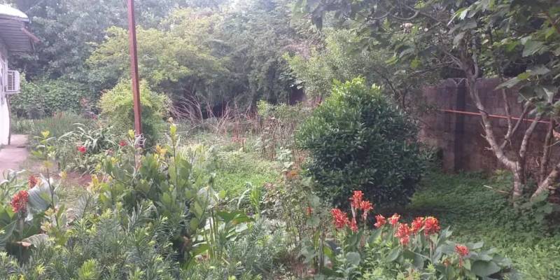                                             فروش زمین ساحلی
                                                                                زمین و باغ
                                        در  رضوان شهر