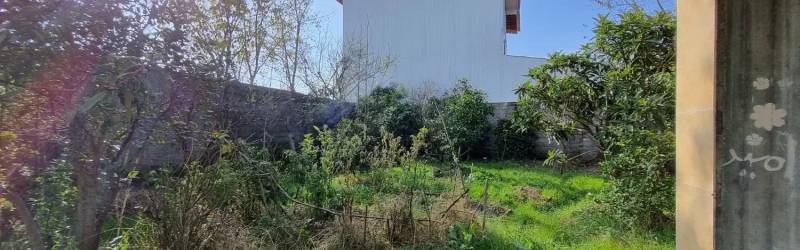                                             فروش زمین مسکونی
                                                                                زمین و باغ
                                        در  رضوان شهر