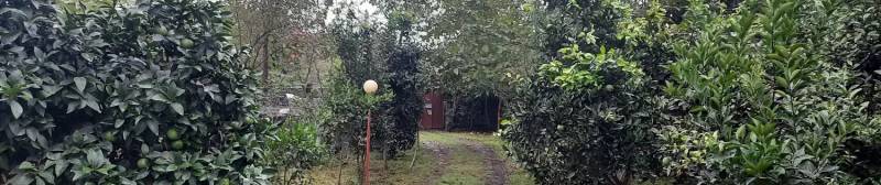                                             خانه ویلایی 800 متر
                                                                                منزل ویلایی
                                        در  رضوان شهر
