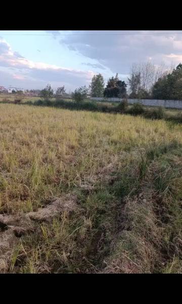                                             یک هکتار شالیزار سنتی
                                                                                زمین و باغ
                                        در  رضوان شهر