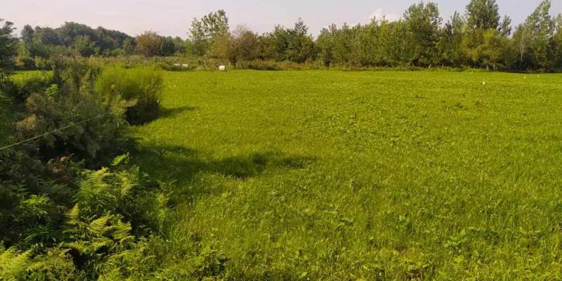                                             فروش ۱۵۰۰متر زمین
                                                                                زمین و باغ
                                        در  رضوان شهر