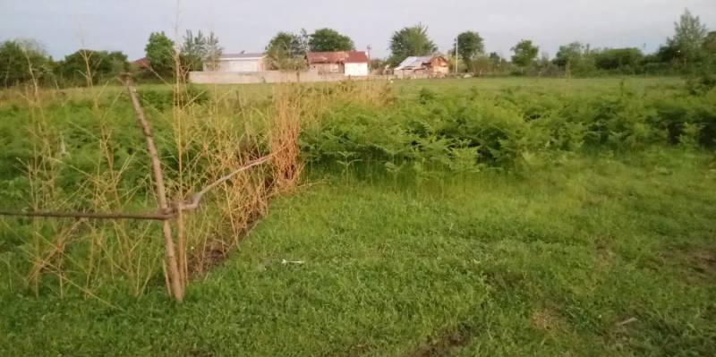                                             270متر مسکونی پروانه دار متری 5ونیم مقطوع
                                                                                زمین و باغ
                                        در  رضوان شهر