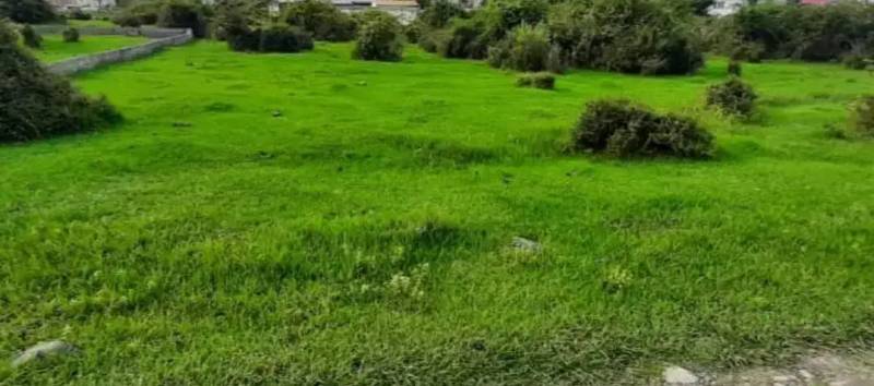                                             ۲۷۰مترزمین کوهپایه سند تکبرگی
                                                                                زمین و باغ
                                        در  رضوان شهر