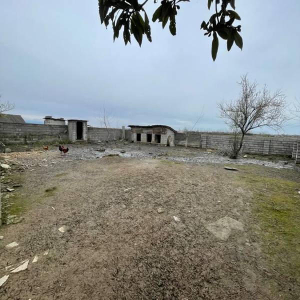                                             330 متر زمین مسکونی دیوارکشی با مجوز بنیاد مسکن
                                                                                زمین و باغ
                                        در  رضوان شهر