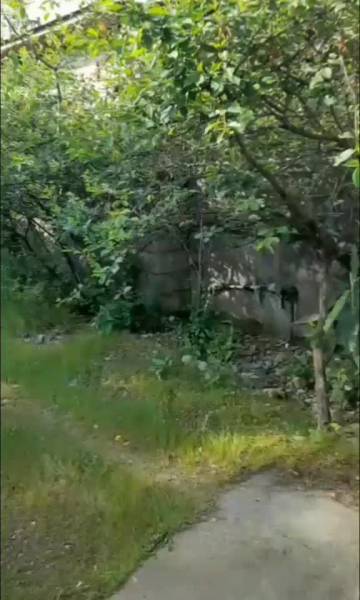                                             خانه ویلایی در رضوانشهر گیلان
                                                                                منزل ویلایی
                                        در  رضوان شهر