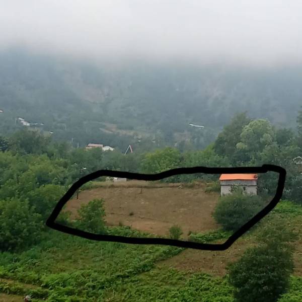 زمین ییلاقی