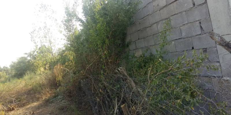 زمین فروشی در چکوچه پشت
