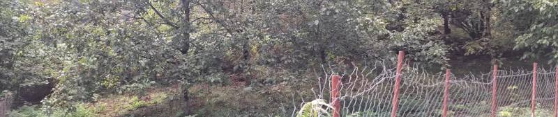 زمین کاربری مسکونی در ییلاق ارده
