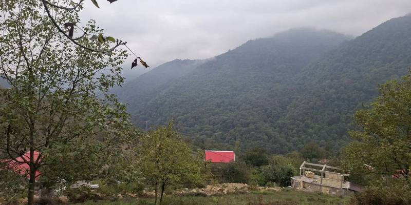 فروش560 متر زمین باغی  مسکونی پره سر گیلان