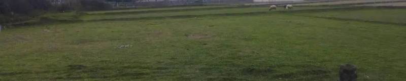 زمین مسکونی
