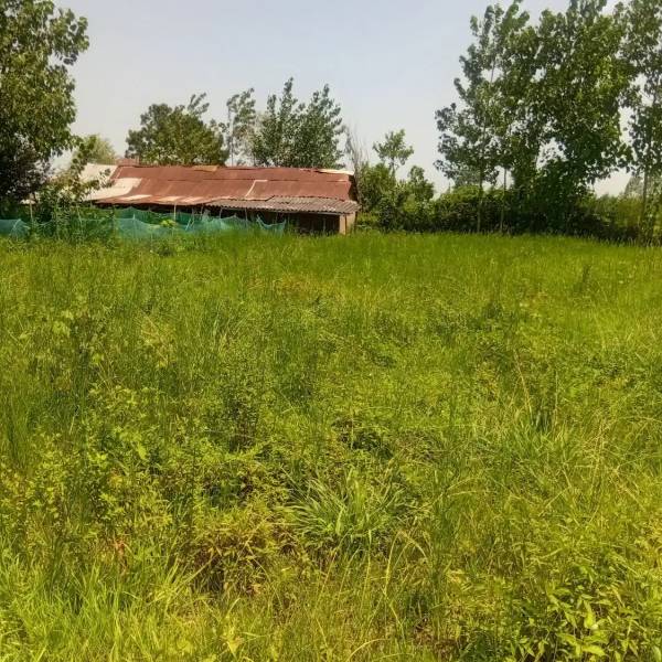 ۶۰۰ متر مسکونی متری ۵۵۰۰