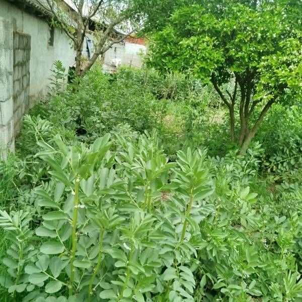 زمین فروشی